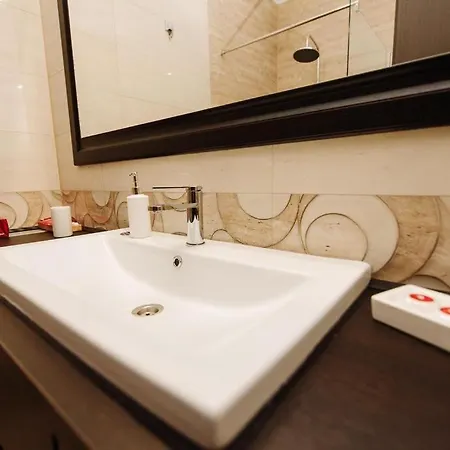 Pensiunea Emris Guest house Spatac