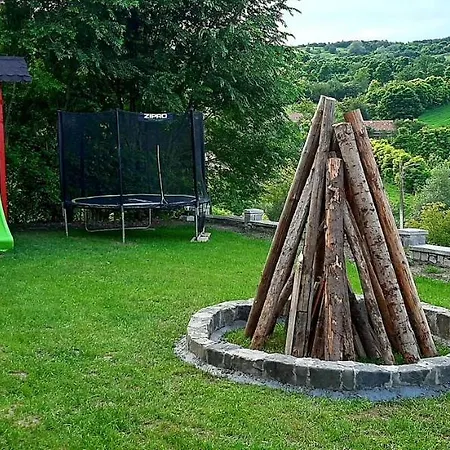 Gasthof Pensiunea Emris *