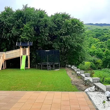 Guest house Pensiunea Emris Spatac